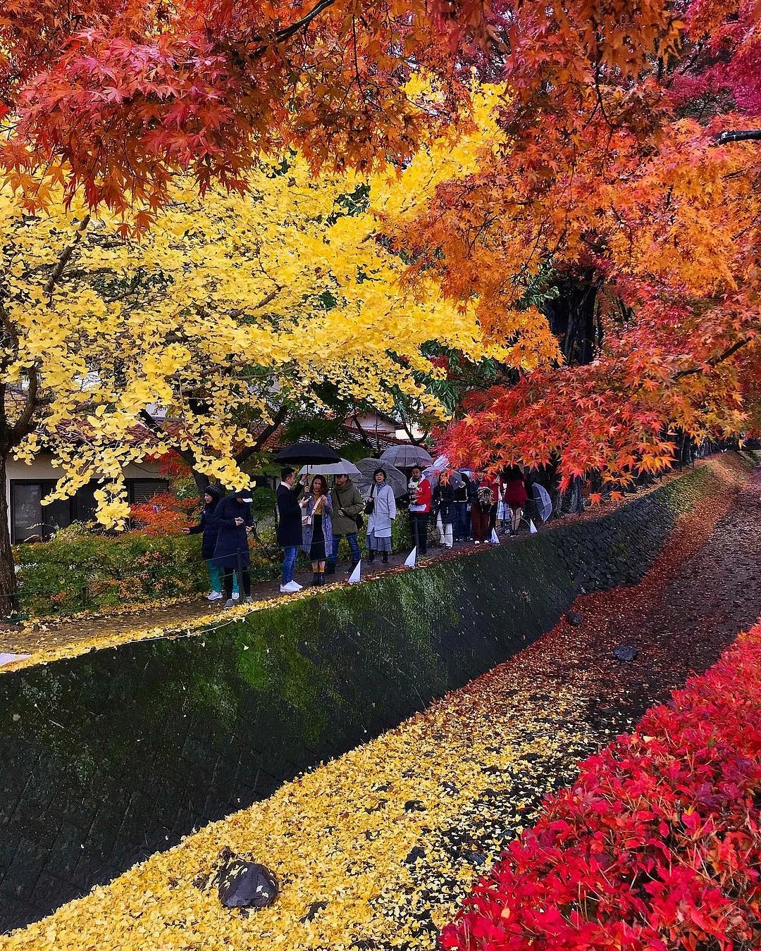 🌳 오마치 공원(오마치 코엔) 이미지 10